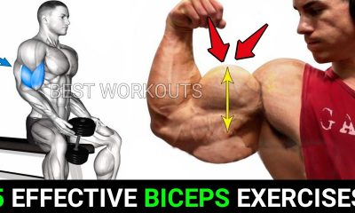 5 Effective Biceps Exercises With Dumbbells - BEST WORKOUTS
