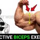 5 Effective Biceps Exercises With Dumbbells - BEST WORKOUTS