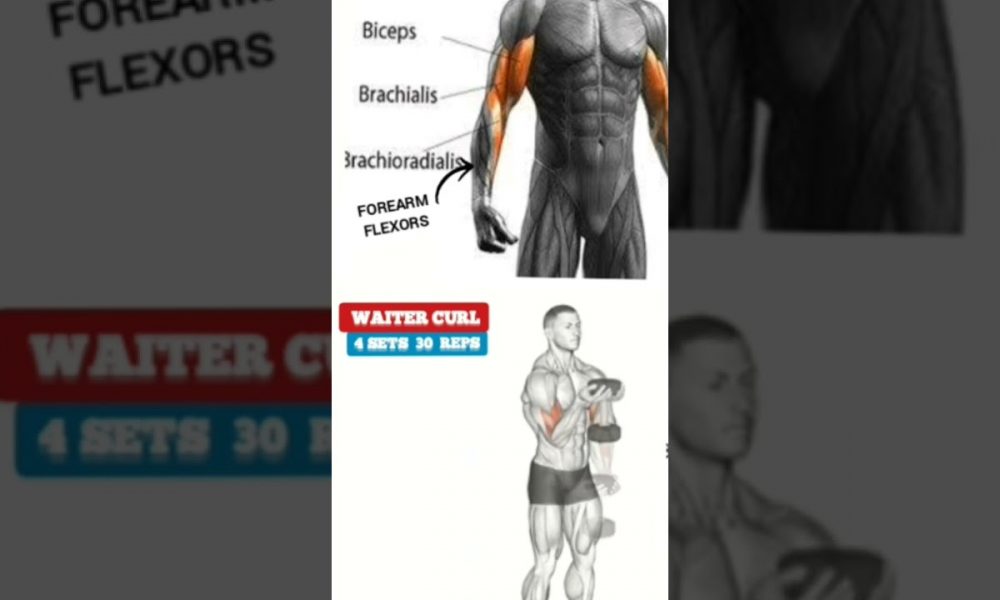 Dumbbell-Only BICEPS WORKOUT (Grow Your Arms At Home!)#biceps
