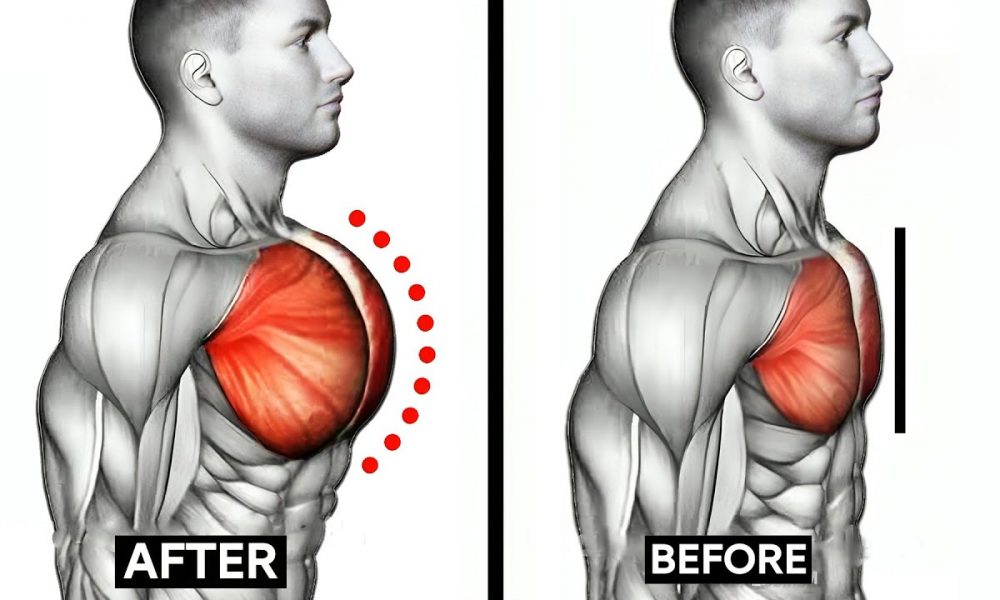 BEST Chest Exercises | Upper pecs - Middle pecs - Lower pecs | Maniac Muscle