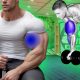 6 Best Dumbbell Exercises to Get Huge Biceps Fastest