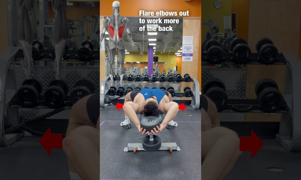 Dumbbell Pullovers for Chest or Back? #shorts