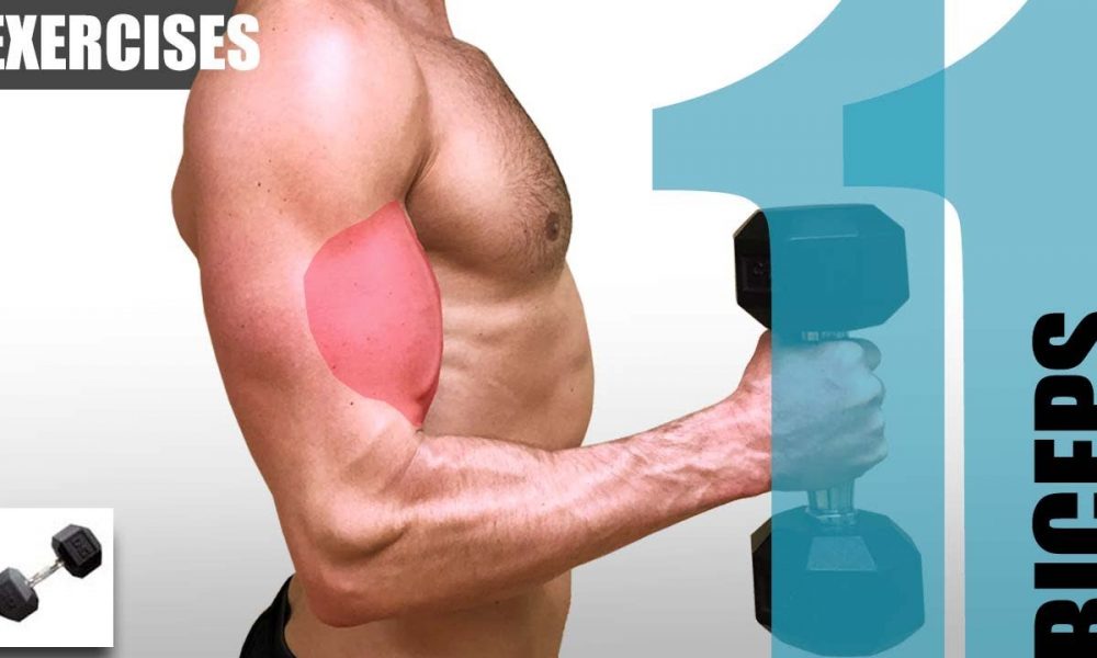 11 BICEPS EXERCISES YOU CAN DO WITH ONLY ONE DUMBBELL