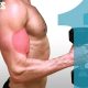 11 BICEPS EXERCISES YOU CAN DO WITH ONLY ONE DUMBBELL