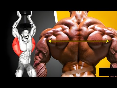 5 Effective Wider Back Workout ll Back Workout ll Back Workout At Gym