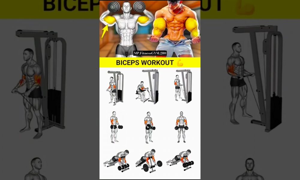 The Best Bicep & Tricep Workouts for MASS