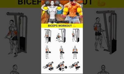 The Best Bicep & Tricep Workouts for MASS