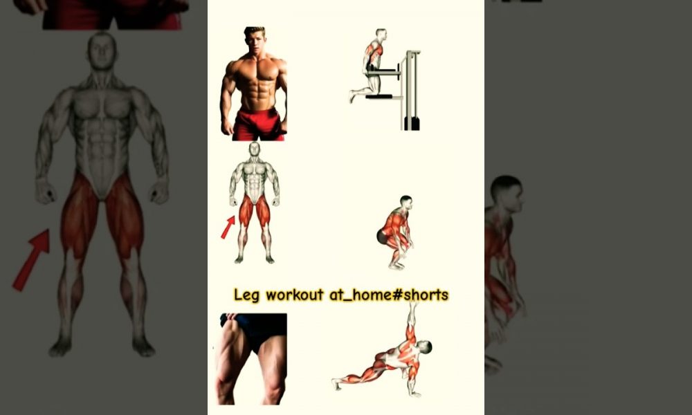 “No Pain, No Legs! 🔥 Leg Day Challenge!”#shorts 🔥