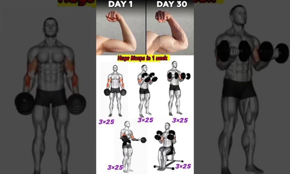 biceps exercise#biceps #bicepsandtriceps #workout #workoutsforwomen #homegym #fitness... less