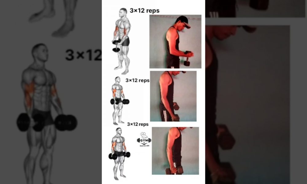 only dumbbell bicep workout 🔥💪🏻#bicepsworkout #biceps #short