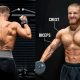 The Exact Upper Body Workout I Followed For My 1 Year Transformation
