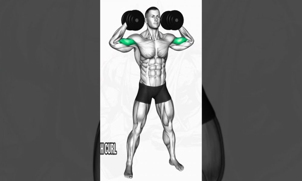 dumbbell workout@HANUMATGYM21 #sports#fitness, #workout, #healthylifestyle, #healthtips, #motivation