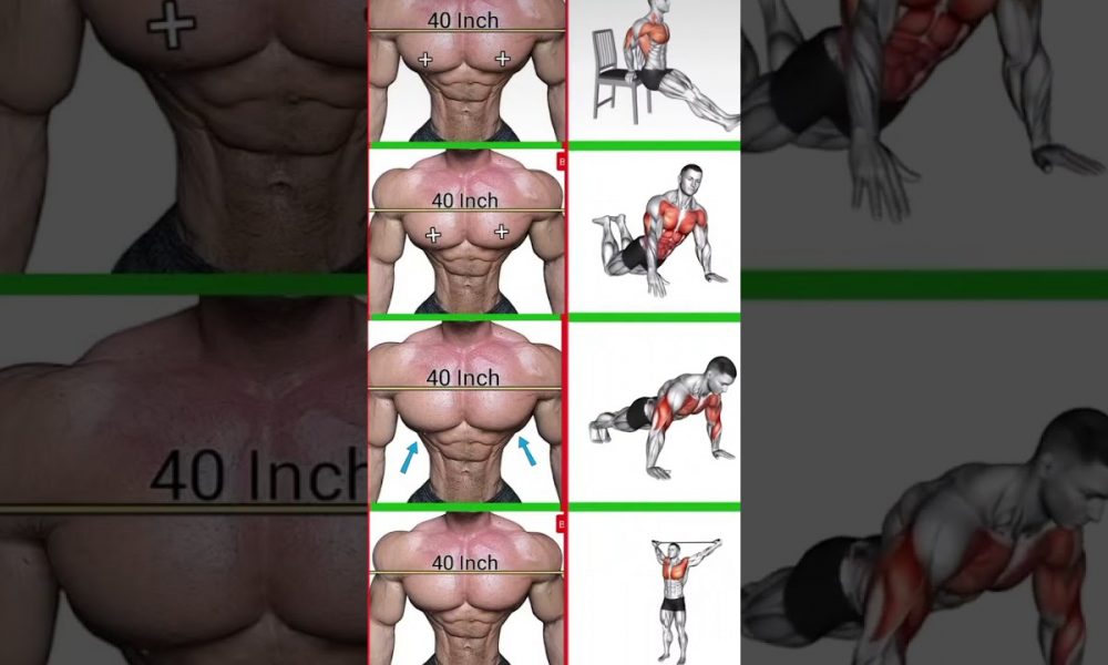 chest workout 💪#fitness​ #motivation​ #gymexercises​ #chest​ #bodybuilding​ #armsworkout​ #bicepswor