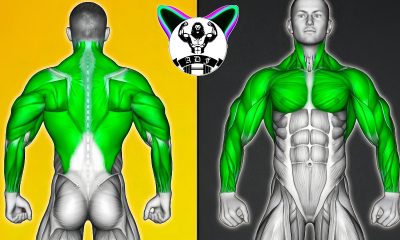 Upper Body Workout With Dumbbells (Chest-Shoulder-Back-Biceps-triceps-Forearms)