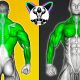 Upper Body Workout With Dumbbells (Chest-Shoulder-Back-Biceps-triceps-Forearms)