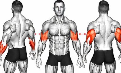 6 Minute Dumbbell Barbell Workout For Biceps, Triceps & Forearms [Build & Burn]