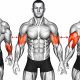 6 Minute Dumbbell Barbell Workout For Biceps, Triceps & Forearms [Build & Burn]