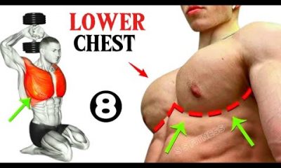Best Lower Chest Exercises ( Very Effective )