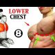 Best Lower Chest Exercises ( Very Effective )