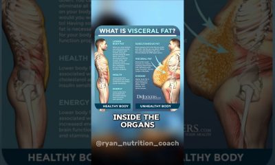Different types of Fat