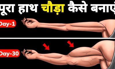BIG BICEPS - TRICEPS - FOREARMS WORKOUT | Full Arms Workout | हाथ मोटा कैसे करें!! Power Up Fitness