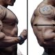 Build Insane Huge Arms with These Simple Tricks