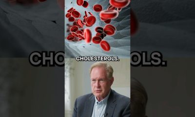 What Actually Causes High Cholesterol? | Dr. Robert Lustig