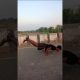 palak 💪🇮🇳💪 hard workout 💪🇮🇳 full body workout 💪🇮🇳💪 #yt #motivation #ytshorts #youtubeshort #video