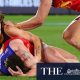 Tasmania Devils AFL saga ‘embarrassing’ for our state, says former Australian Test cricket captain Tim Paine