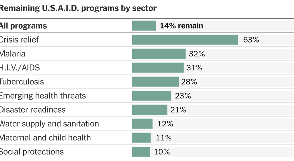 What Remains of U.S.A.I.D. After DOGE’s Budget Cuts?