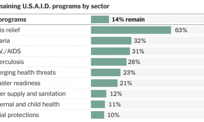 What Remains of U.S.A.I.D. After DOGE’s Budget Cuts?