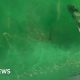 MC Alger supporter dies falling from Algerian football stadium