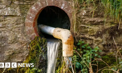 Welsh environment law aims to protect rivers and nature