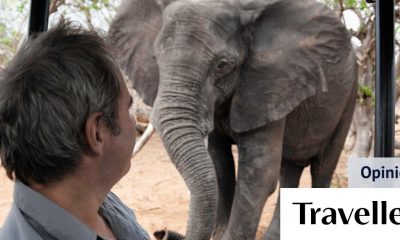 Are safaris in Africa safe? Lessons learnt from an encounter with an elephant