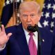 President Donald Trump