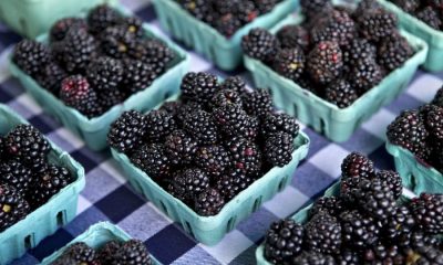 2 items added to ‘Dirty Dozen’ list of most pesticide-contaminated produce