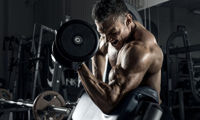 Best 12 Biceps Exercises Ranked: Build Bigger and Stronger Arms