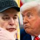 Elon Musk says Donald Trump appears in Epstein files during spectacular public bust-up