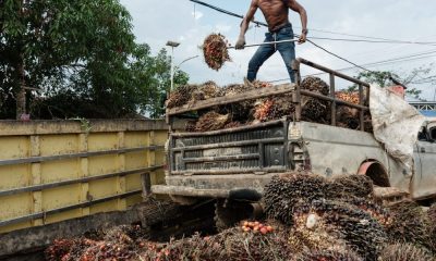 Wilmar hands over $729M as 'security deposit' over Indonesia palm oil corruption case