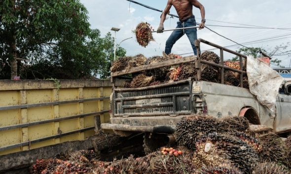 Wilmar hands over $729M as 'security deposit' over Indonesia palm oil corruption case