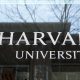 Pentagon official: Cutting off Harvard project endangers national security