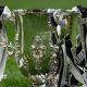 Carabao Cup: Preliminary round in 2025-26 due to Premier League teams in Europe