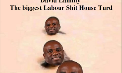 Lammy-A-Labour-turd