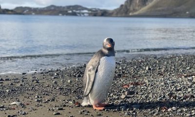 Antarctic treaty under stress as member countries gather in Italy