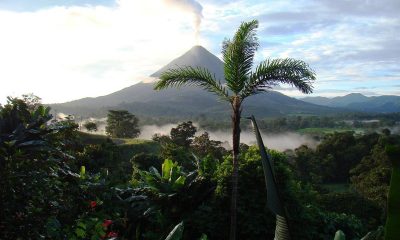 A compact guide to Costa Rica: what to see, eat and do in the jungle paradise