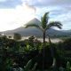 A compact guide to Costa Rica: what to see, eat and do in the jungle paradise