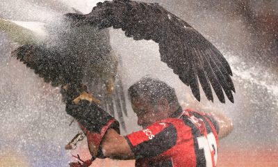 Famous OGC Nice eagle mascot and trainer blasted by sprinkler