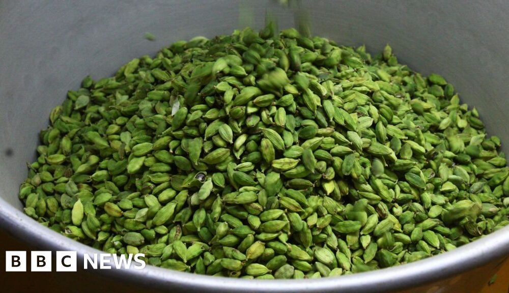 Can tech help cardamom farmers?