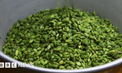 Can tech help cardamom farmers?