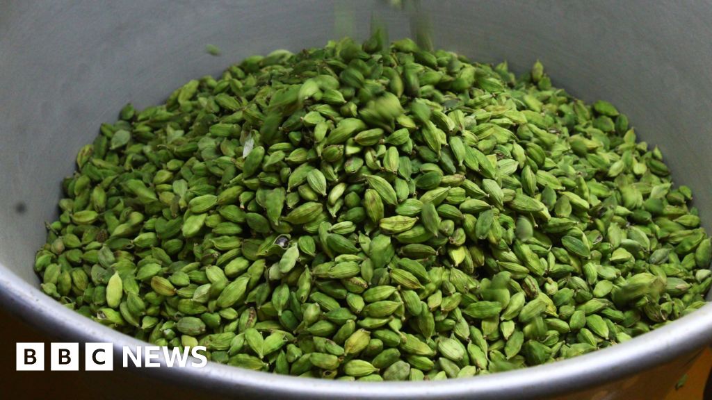 Can tech help cardamom farmers?